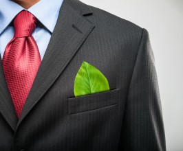 Rijk wil 30% groene stroom in Nederland kopen