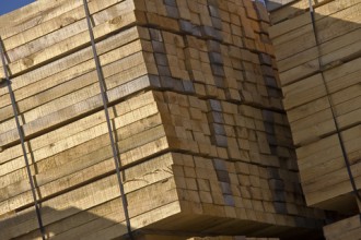 Inkoopregels duurzaam hout worden massaal overtreden