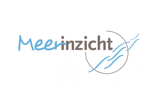 Meerinzicht